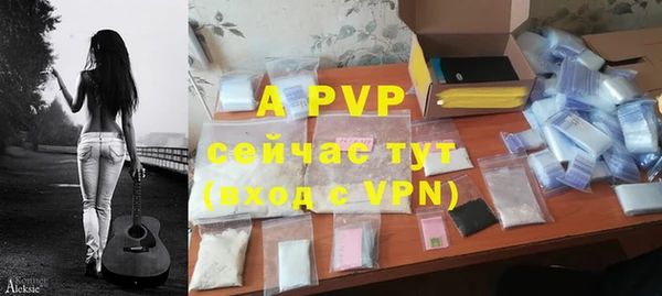 мет Инта