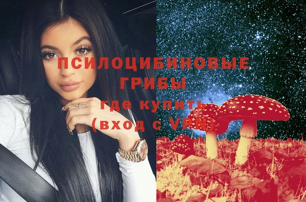 дурь Инсар