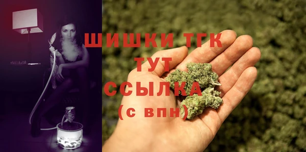 дурь Инсар