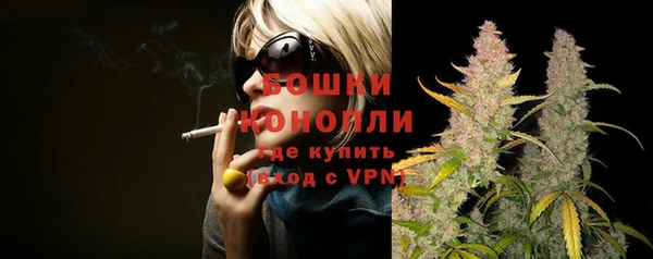 мяу мяу мука Иннополис