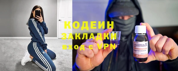 дурь Инсар