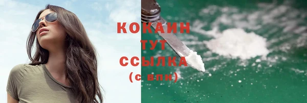 мет Инта