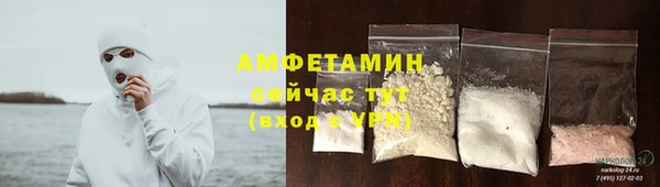 мяу мяу мука Иннополис