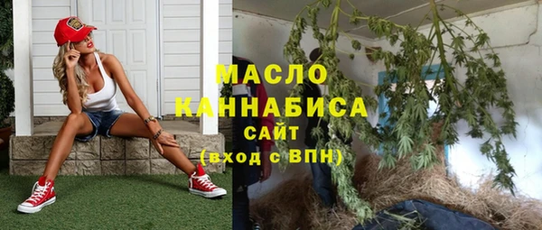 мет Инта