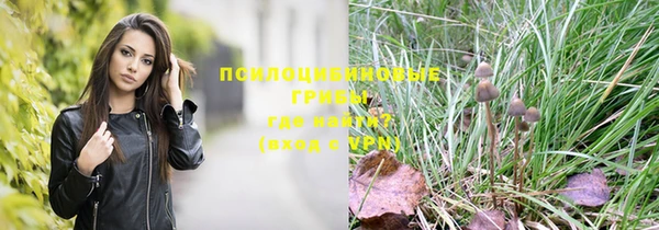 мяу мяу мука Иннополис