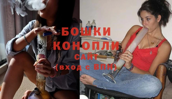 мяу мяу мука Иннополис