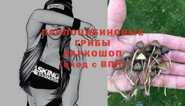мет Инта
