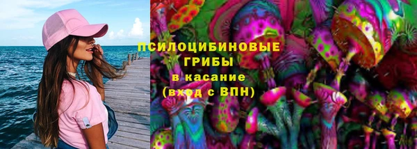 дурь Инсар