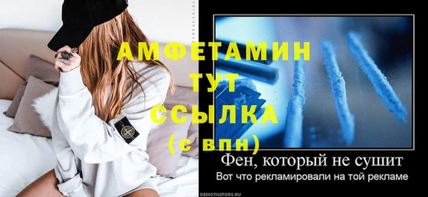 дурь Инсар