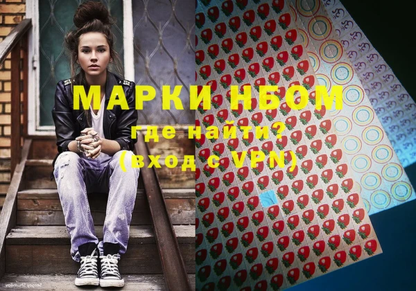 дурь Инсар