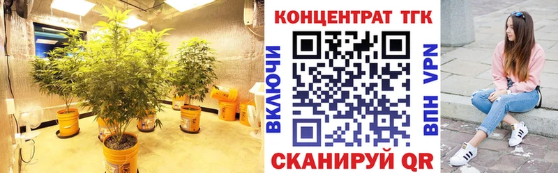 Дистиллят ТГК жижа  Купить где  Менделеевск 