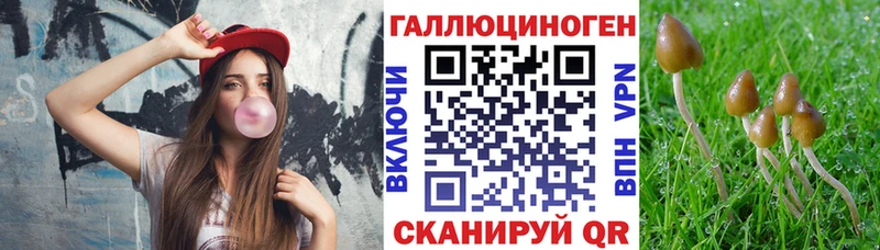 Купить где  Менделеевск  Псилоцибиновые грибы мухоморы 